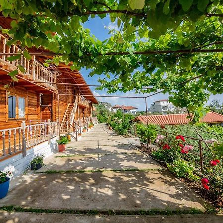 Guest House Luiza Borsh Buitenkant foto