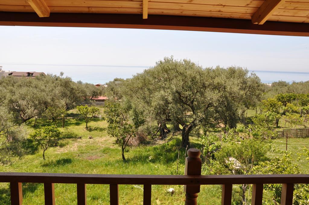 Guest House Luiza Borsh Kamer foto