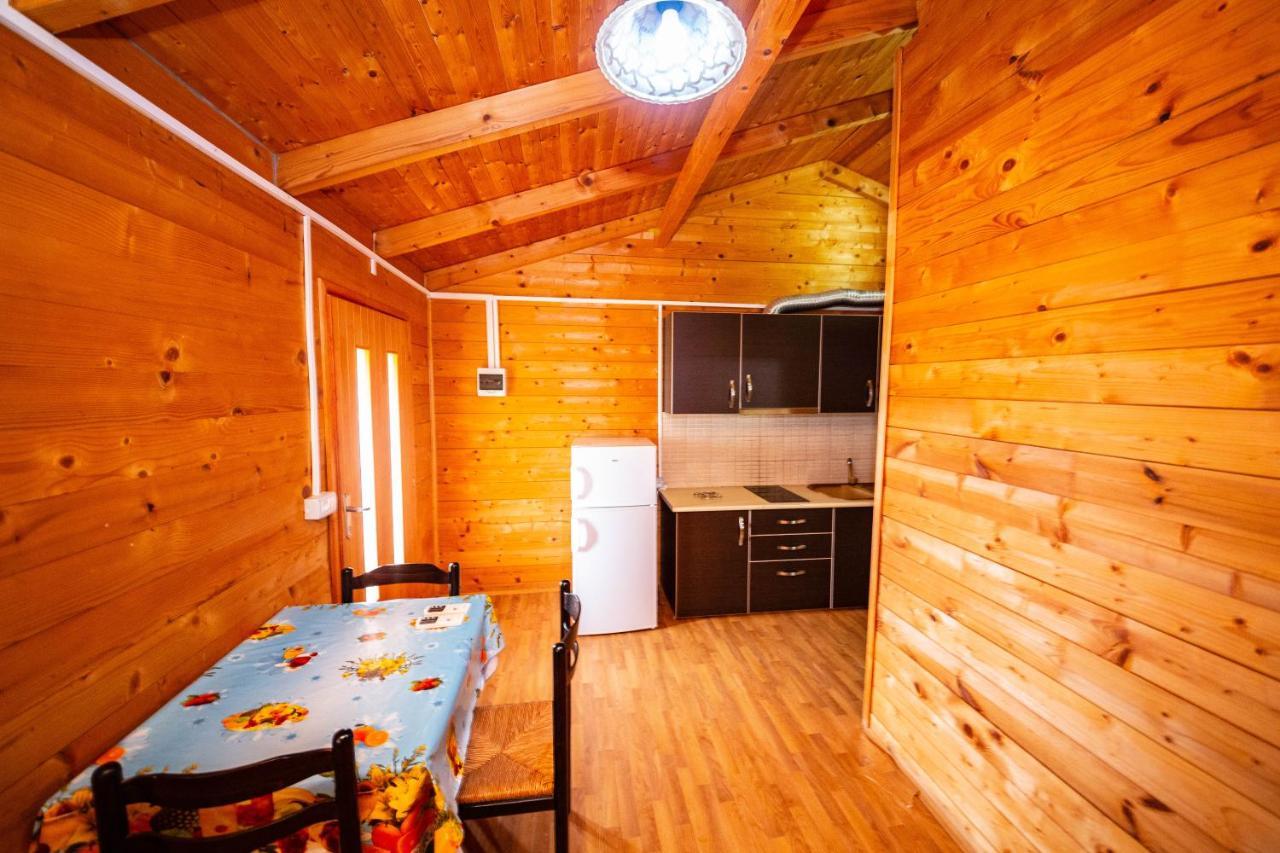 Guest House Luiza Borsh Buitenkant foto
