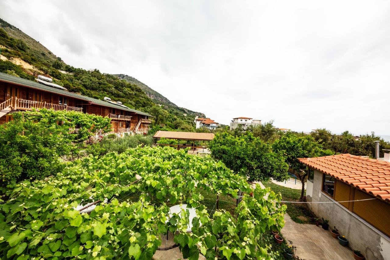Guest House Luiza Borsh Buitenkant foto
