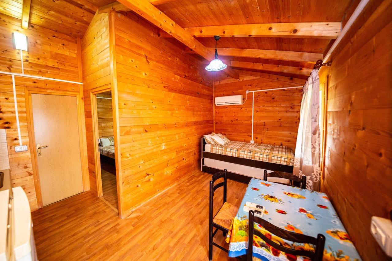 Guest House Luiza Borsh Buitenkant foto